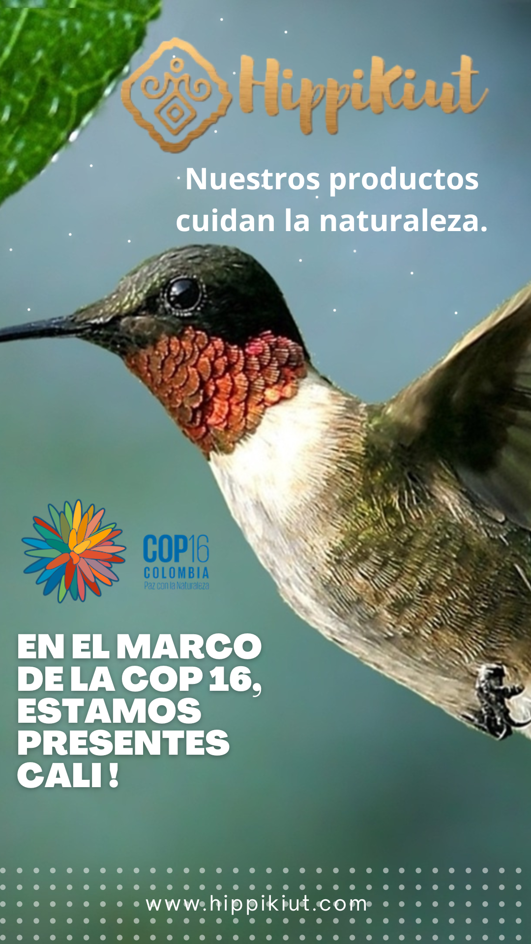 COP16 - Presentes